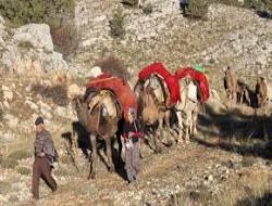 SEVGİ MEZARI VE SONSUZ BİR AŞKIN ÖYKÜSÜ