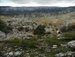 KAZANCILI DAĞ KORUMACILARI VE SİLAHLARIN SIRRI