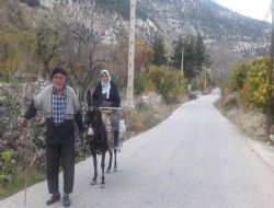 AŞIK ÇINARLAR