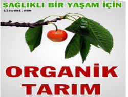 Kiraz Eylem Planı